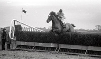 Roll 110 Fairyhouse point to point 2/3/81