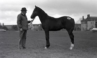Roll 60 RDS 5/11/1980